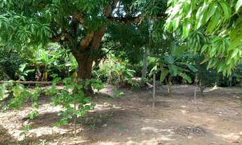 Imagem 3: Sitio a venda com 3 hectares em Barra do Pojuca