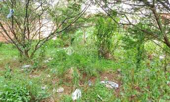 Imagem 4: ALVORADA - Terreno Padrão - Umbu