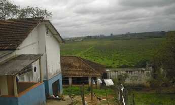 Imagem 7: COD:778 Sitio com 20 alqueires