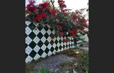 Imagem 2: VENDE-SE OU TROCA-SE CASA!