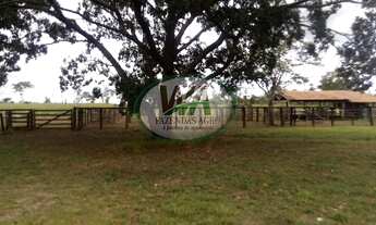 Imagem: Fazenda localizada entre Lagoa da confusão