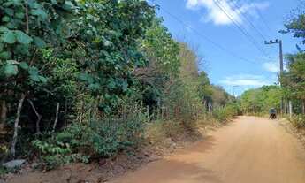 Imagem: TERRENO À VENDA NA PRAIA DA PIPA