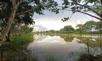 Imagem 7: Fazenda para Venda em Viana, 5 dormitórios, 2 suítes, 3 banheiros