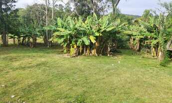 Imagem 5: Linda chácara 4.2ha, toda cercada, casa de alvenaria 100m², potreiro, roça, açude