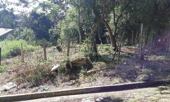 Imagem 4: BORDA DA MATA - Terreno Padrão - Centro