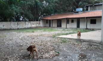 Imagem 6: Terreno à venda Centro - São José dos Campos - SP