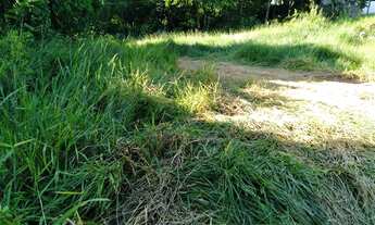 Imagem 4: Registro - Terreno Padrão - Jardim Lebrom