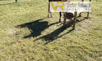 Imagem 6: Sítio na Região de Araxá-MG