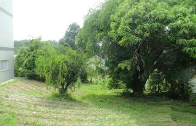 Imagem 2: GARIBALDI - Terreno Padrão - Santa Terezinha