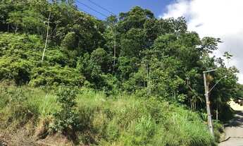 Imagem 3: GUARAMIRIM - Terreno Padrão - Figueirinha