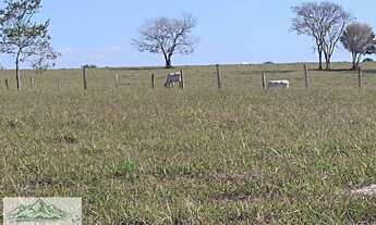 Imagem 3: Terreno Rural para Venda em Porangaba, RURAL