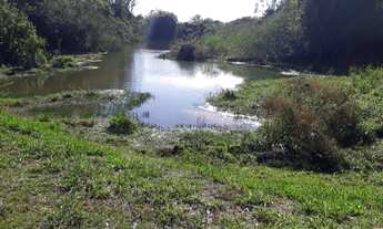 Imagem 2: Fazenda/Sítio/Chácara para venda possui 200 metros quadrados com 3 quartos