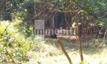 Imagem 2: TERRENO - OPORTUNIDADE