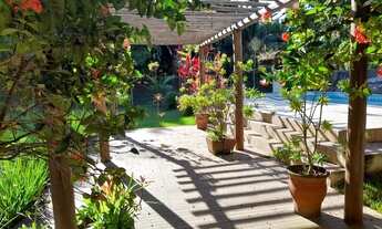 Imagem 3: Encontro das águas