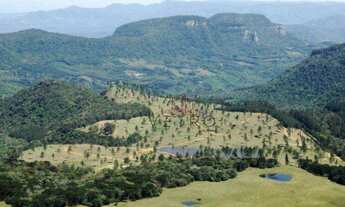 Imagem: Terreno na RS-235 em Canela!