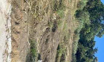 Imagem 3: Terreno beira da estrada marica / rodovia amaral peixoto