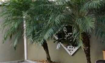 Imagem 3: Casa - Sobrado - Damha IV