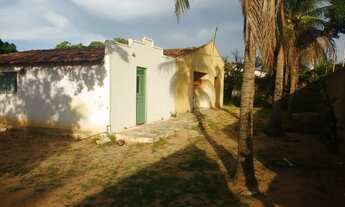 Imagem 5: Terreno em Dom Jaime Câmara - Mossoró