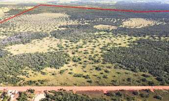 Imagem 5: Fazenda com 500,00 hec BR 364/163 25 km de Cuiabá