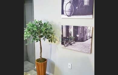 Imagem 3: Sala para locação, Torre, Recife, PE