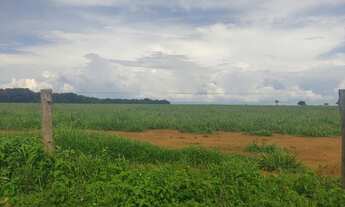 Imagem 2: Fazenda para Venda em Marianópolis do Tocantins, Marianopolis