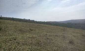 Imagem: Fazendinha oportunidade