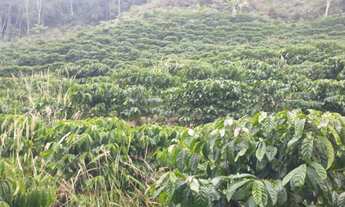 Imagem 7: Sítio Viana 7 hequitares