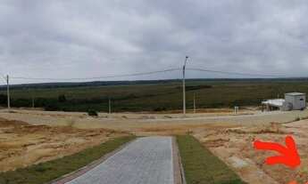 Imagem 3: Terreno no Buritis 2