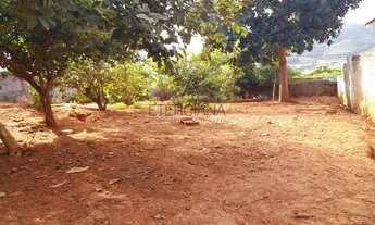 Imagem 7: BORDA DA MATA - Terreno Padrão - Sao Judas Tadeu