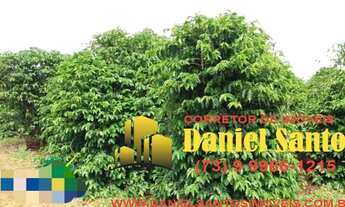 Imagem 2: FAZENDA RURAL em NEPOMUCENO - MG, BA-265