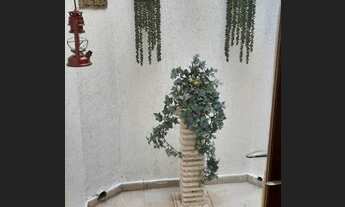 Imagem 6: **Linda casa Térrea na Mooca para venda**