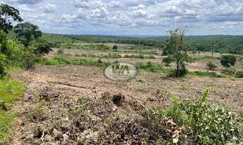 Imagem 7: Fazenda ótima para pecuária