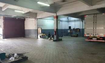 Imagem 7: Galpão em Vila Ribeiro de Barros - São Paulo