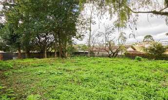 Imagem 4: CURITIBA - Terreno Padrão - Jardim Social