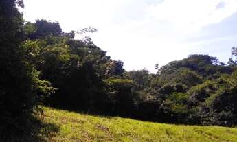 Imagem 3: Rural Fazenda / sítio com venda por R$34.000.000