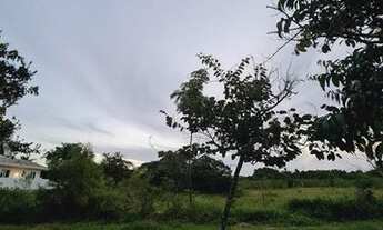 Imagem 3: Terreno Jurerê Internacional