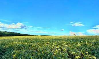 Imagem 5: Excelente Fazenda - Anápolis (GO