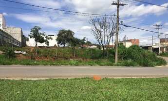 Imagem 3: Lindo lote em Jarinu-SP Ideal para galpão ou residencia/Centro maracanã/588m²/cod0547