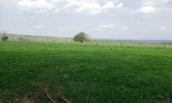 Imagem 2: Fazenda 1095 ha Rio Negro/MS