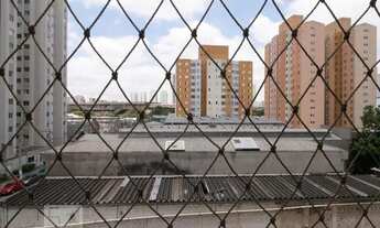 Imagem 7: Apartamento para Aluguel - Brás, 2 Quartos, 53 m2