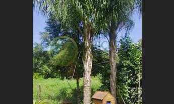 Imagem 7: Ótima Chácara a Venda na Vicinal Piratininga - Água da Faca