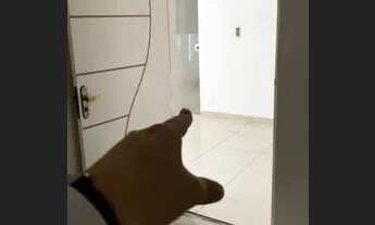 Imagem 7: Aluga-se Clínica Odontológica