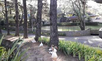 Imagem 5: Casa com 3 suítes, 505m² área construída - Venda ou Locação - Condomínio Jardim Mediterrân