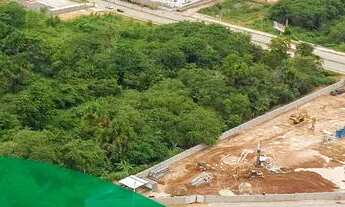 Imagem 3: PARQUE MOSAICO / VISTA DAS PAINEIRAS