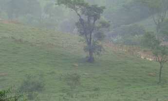 Imagem 7: 30 mil metros quadrados em São João - Caconde - São Paulo