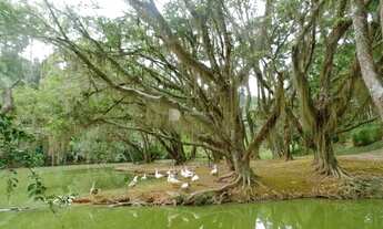 Imagem 7: Locação Casa em condomínio com 3 dormitórios