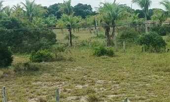 Imagem 2: Vendo 5 lotes de 12 por 30