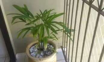 Imagem 2: Apartamento 170 mil