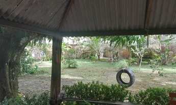 Imagem 4: Casa c piscina mosqueiro