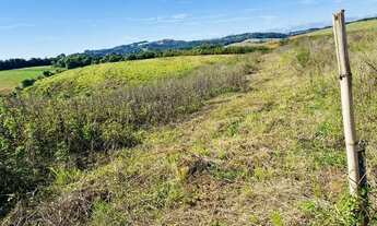 Imagem 6: LOTEAMENTO EXCELENTE PARA CHARACAS